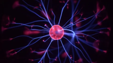 Neuromarketing Científico